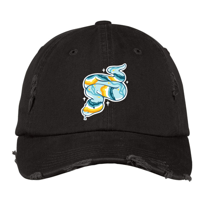 Pride Snakes - Aroace (sunset) Vintage Cap | Artistshot