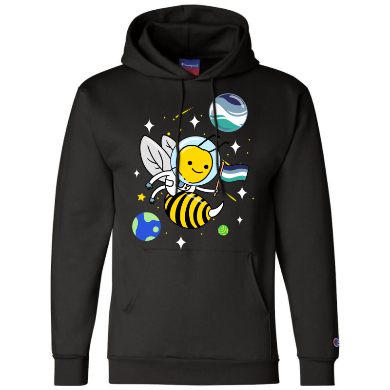 Wasp Astronaut Oriented Aroace Pride Champion Hoodie | Artistshot