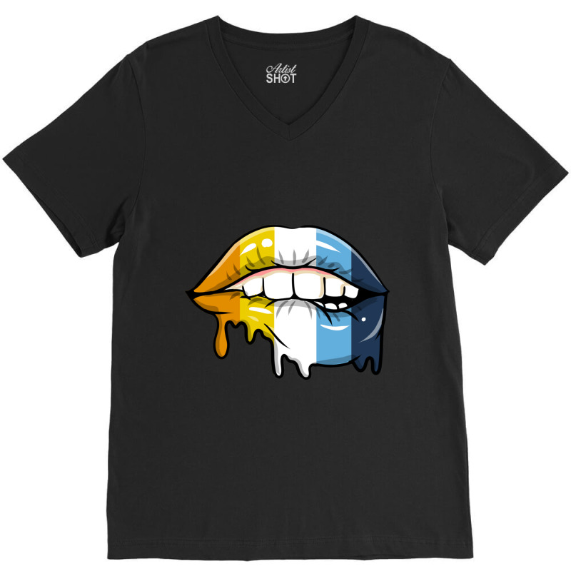 Dripping Lips Aroace Pride V-neck Tee | Artistshot