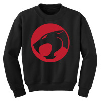 Thundercats Youth Sweatshirt | Artistshot