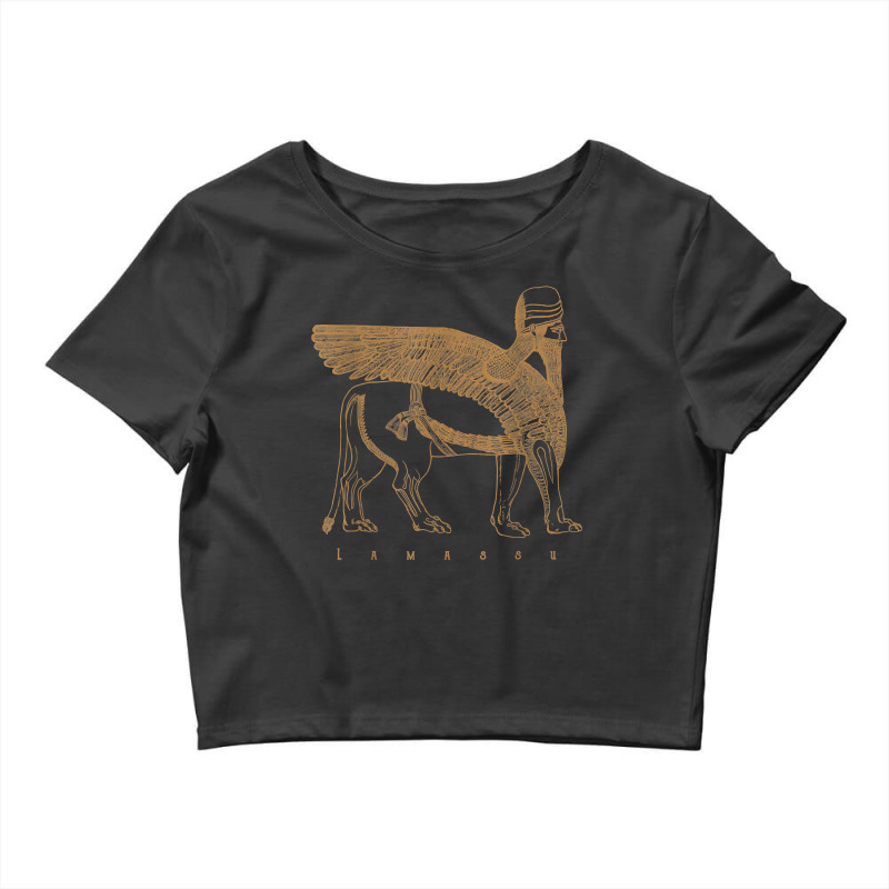 Lamassu Winged Lion Assyrian Sumerian Mesopotamia Crop Top by LaticiaSandgren | Artistshot