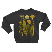 Dandelion Botanical Art, Dandelion Botanical Vintage, Dandelion Botani Toddler Sweatshirt | Artistshot