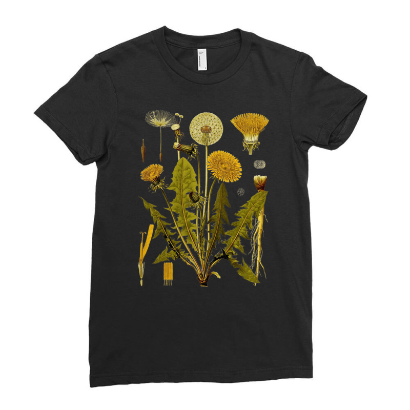 Dandelion Botanical Art, Dandelion Botanical Vintage, Dandelion Botani Ladies Fitted T-shirt | Artistshot