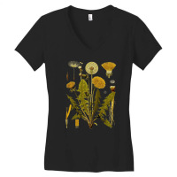 Dandelion Botanical Art, Dandelion Botanical Vintage, Dandelion Botani Women's V-neck T-shirt | Artistshot