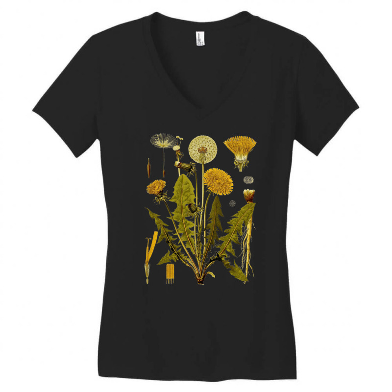 Dandelion Botanical Art, Dandelion Botanical Vintage, Dandelion Botani Women's V-Neck T-Shirt by SHOPUYTY | Artistshot