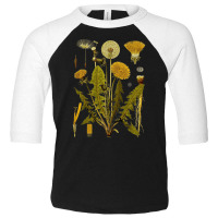 Dandelion Botanical Art, Dandelion Botanical Vintage, Dandelion Botani Toddler 3/4 Sleeve Tee | Artistshot