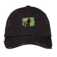 Picardy Spaniel Dog Lover T Shirt Vintage Cap | Artistshot