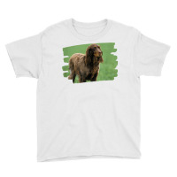 Picardy Spaniel Dog Lover T Shirt Youth Tee | Artistshot