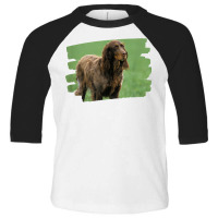 Picardy Spaniel Dog Lover T Shirt Toddler 3/4 Sleeve Tee | Artistshot