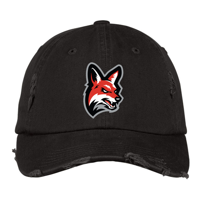 Jackals New Jersey Baseball Vintage Cap | Artistshot