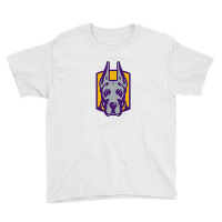 Albany Great Danes Youth Tee | Artistshot