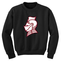 Bellarmine Knights Youth Sweatshirt | Artistshot