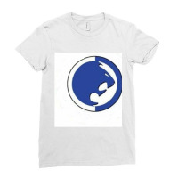 Thundercat  (4) Ladies Fitted T-shirt | Artistshot