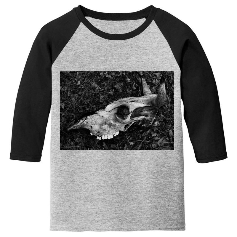 Dead Cow Bnw Skull, Dead Cow Skull, Cow Bnw Skull, Cow Bnw Vintage, Sa Youth 3/4 Sleeve by SHOPTTTTR5 | Artistshot