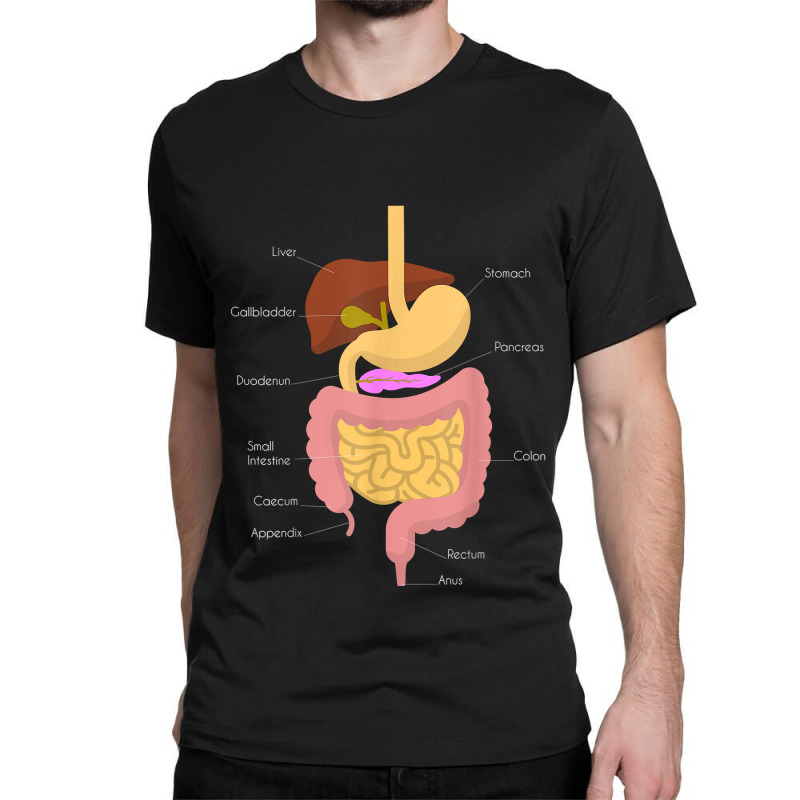 Digestive System Medical Biology Science For Stu Classic T-shirt by OliviaStoica | Artistshot