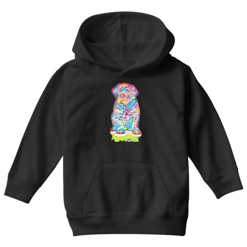 Labrador Retriever Youth Hoodie by Kemnabi | Artistshot