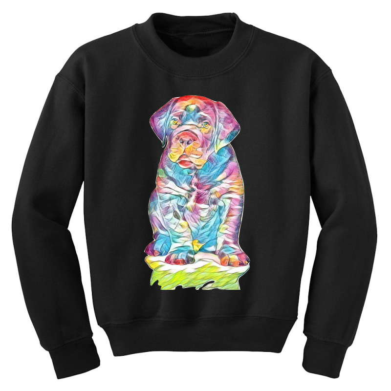 Labrador Retriever Youth Sweatshirt by Kemnabi | Artistshot