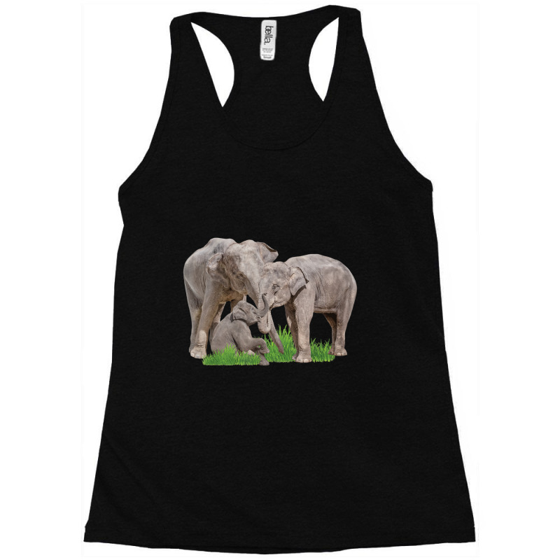 Elephant Family Zookeeper Zoologist Wildlife Safari Lover Racerback Tank by Koyanho62 | Artistshot