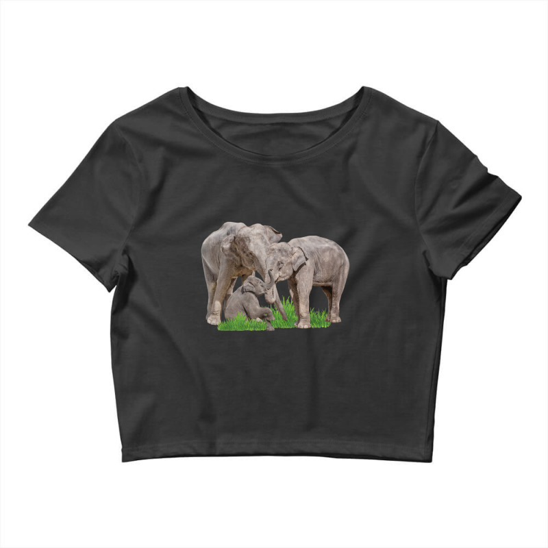 Elephant Family Zookeeper Zoologist Wildlife Safari Lover Crop Top by Koyanho62 | Artistshot