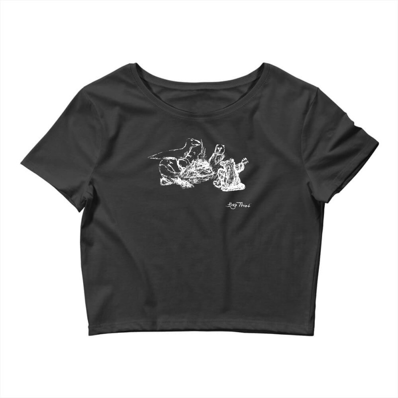 Big Thief Merch Dragon New Warm Mountain I Believe In You Crop Top by CindyBriner | Artistshot