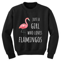 Funny Just A Girl Who Loves Flamingos Youth Sweatshirt | Artistshot