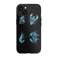 Aqua Colored Crustacean Iphone 13 Case | Artistshot