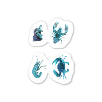 Aqua Colored Crustacean Sticker | Artistshot