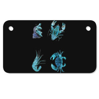 Aqua Colored Crustacean Motorcycle License Plate | Artistshot