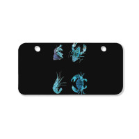 Aqua Colored Crustacean Bicycle License Plate | Artistshot