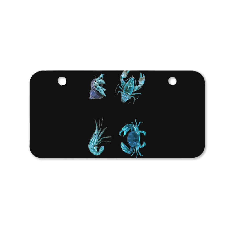 Aqua Colored Crustacean Bicycle License Plate | Artistshot