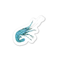 Aqua Colored Prawn Sticker | Artistshot