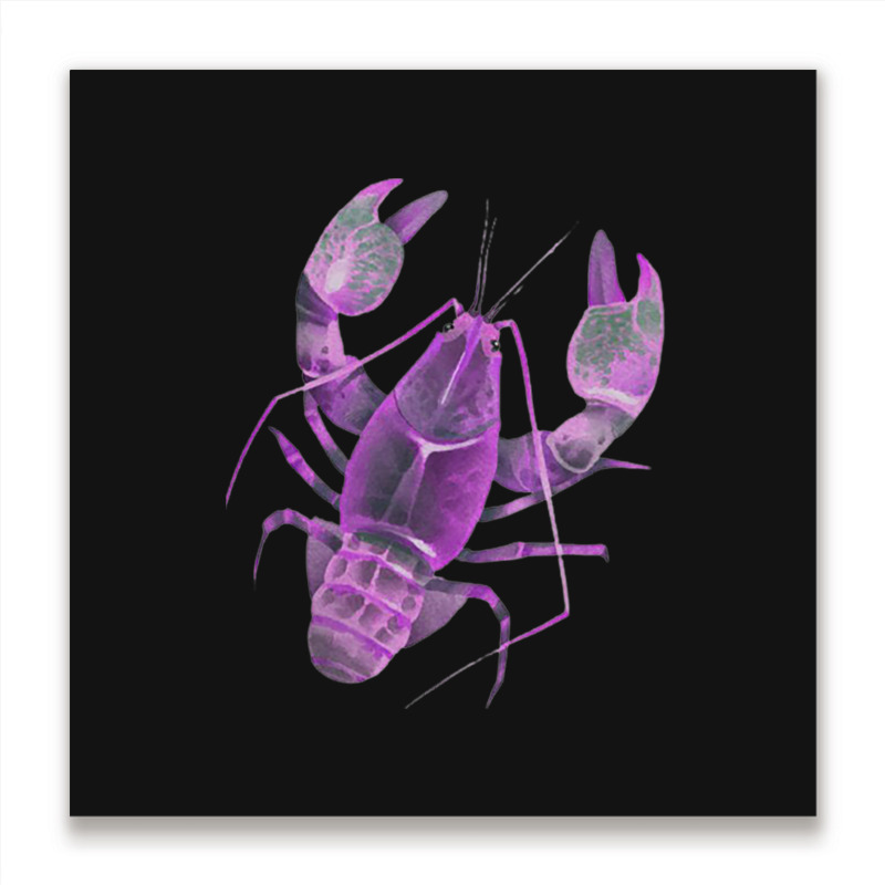 Aqua Purple Colored Lobster Metal Print Square | Artistshot