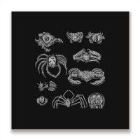 Crustaceancore For Ocean And Animal Lovers Sea 2 Metal Print Square | Artistshot