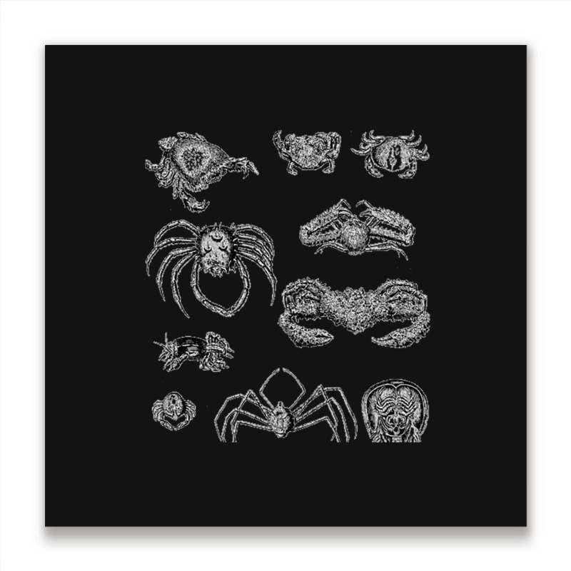 Crustaceancore For Ocean And Animal Lovers Sea 2 Metal Print Square | Artistshot