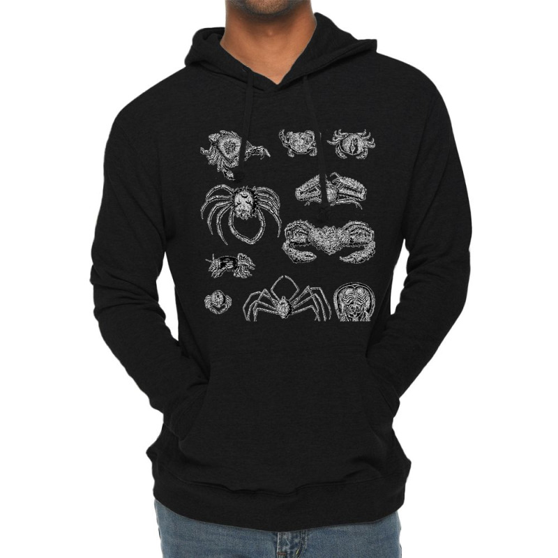 Crustaceancore For Ocean And Animal Lovers Sea 2 Lightweight Hoodie | Artistshot