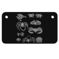 Crustaceancore For Ocean And Animal Lovers Sea 2 Motorcycle License Plate | Artistshot