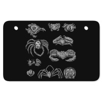 Crustaceancore For Ocean And Animal Lovers Sea 2 Atv License Plate | Artistshot