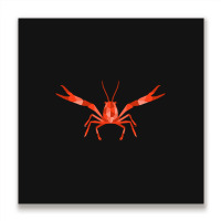 Crustaceancore For Ocean And Animal Lovers Sea Life Metal Print Square | Artistshot