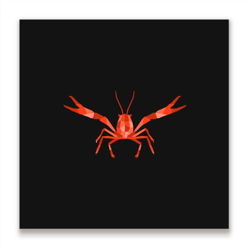 Crustaceancore For Ocean And Animal Lovers Sea Life Metal Print Square | Artistshot