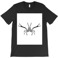 Crustaceancore For Ocean And Animal Lovers Sea Life Graphic T-shirt | Artistshot