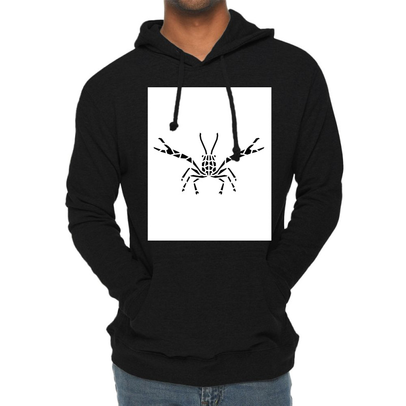 Crustaceancore For Ocean And Animal Lovers Sea Life Graphic Lightweight Hoodie | Artistshot