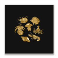 Golden Crustaceancore Metal Print Square | Artistshot