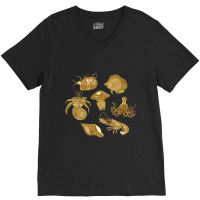 Golden Crustaceancore V-neck Tee | Artistshot