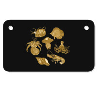 Golden Crustaceancore Motorcycle License Plate | Artistshot