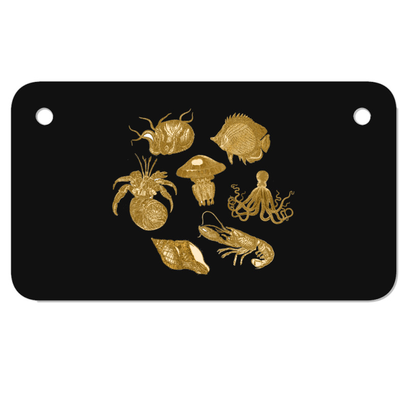 Golden Crustaceancore Motorcycle License Plate | Artistshot