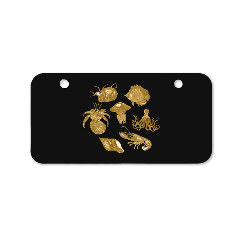 Golden Crustaceancore Bicycle License Plate | Artistshot