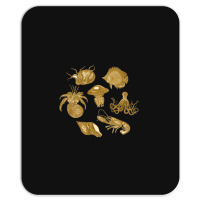 Golden Crustaceancore Mousepad | Artistshot