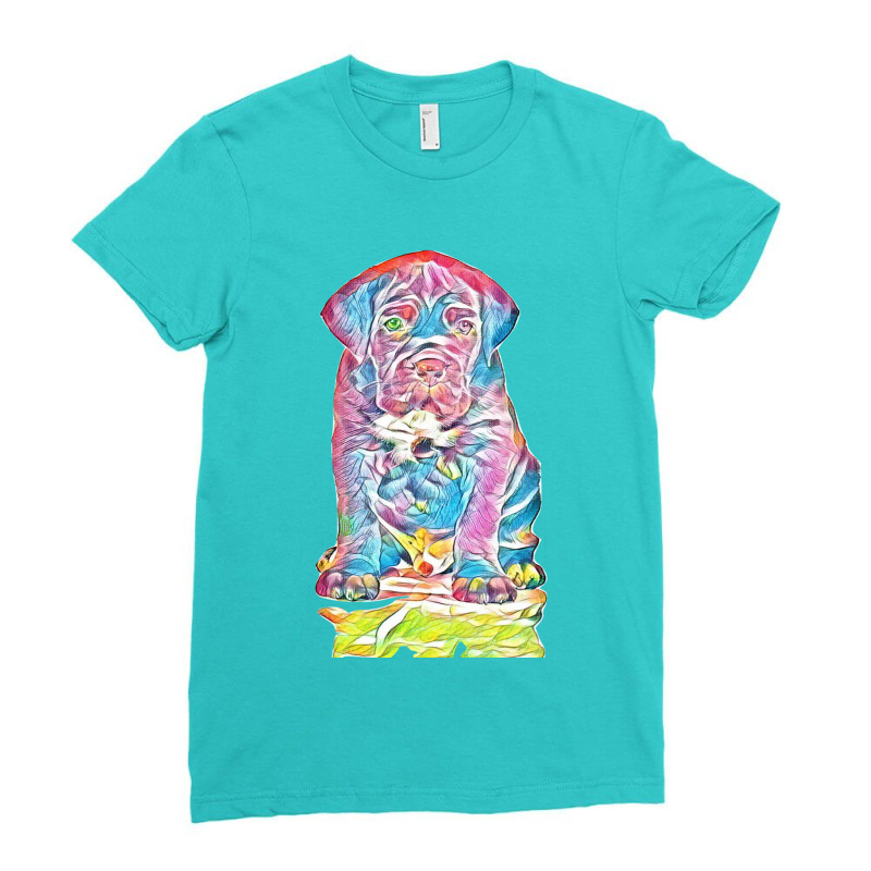 Boxer Ladies Fitted T-Shirt by Kemnabi | Artistshot