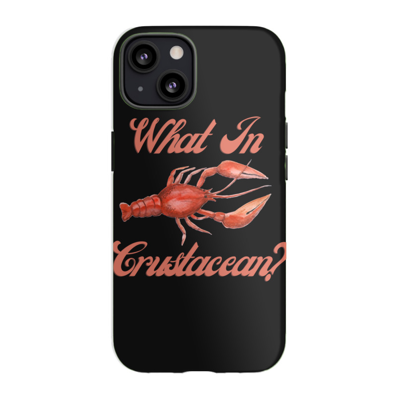 What In Crustacean  Cute Crustaceancore Iphone 13 Case | Artistshot