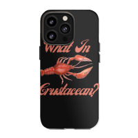 What In Crustacean  Cute Crustaceancore Iphone 13 Pro Case | Artistshot